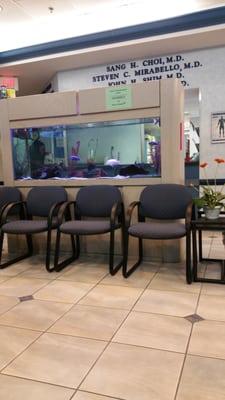 Waiting area...I'm loving the fish