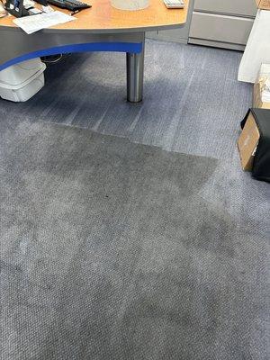 Honda dealership sales office getting a much needed carpet cleaning in Torrance