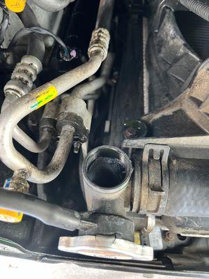 Radiator hose burst off