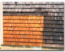 Natural shingle restoration