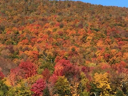 The wonderful color of fall and then the dreaded leave clean up. Chris James landscaping has you cover. Call today 201-670-9000