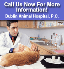 Dublin Animal Hospital