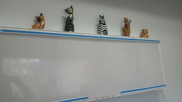 X-ray wall with cute cat decor!