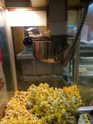 Free Popcorn