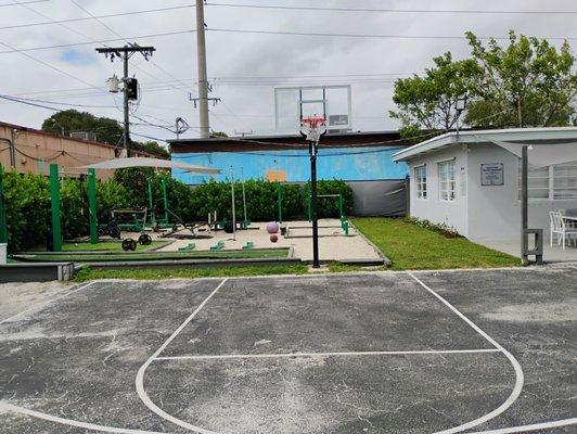 Basketball hoop in backyard