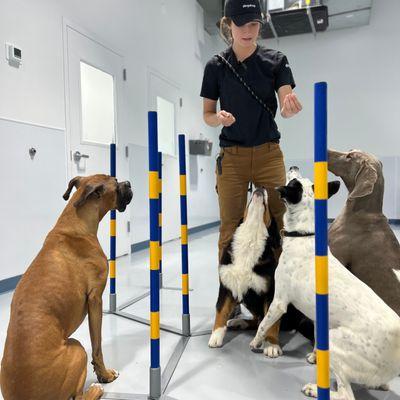 Our manager leading Agility Fun - practicing going through the agility poles