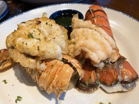 Maine Lobster Tail and Caribbean Rock Tail