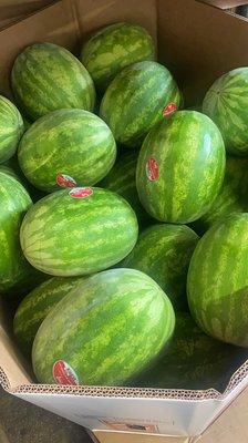 Watermelon