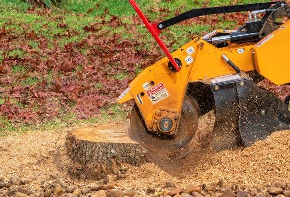 Say goodbye to stubborn stumps with stump grinding services from S&P Land Restoration