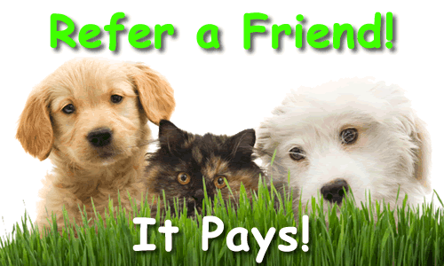 Refer a Friend and get a coupon to spend toward your visit at Creekside Animal Hospital!