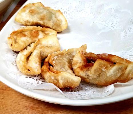 Mandu dumplings