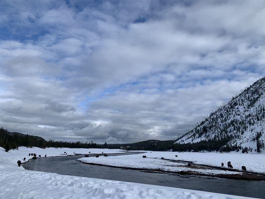 Beautiful sights and lots of bison sightings.