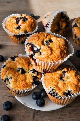 Blueberry Muffins