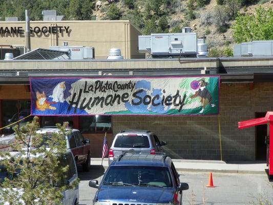 Stop by the La Plata County Humane Society!