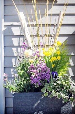 Spring Planter