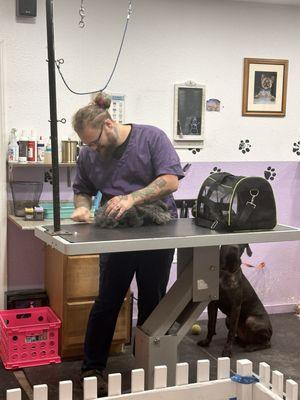 Garrett getting ready to trim our rabbit