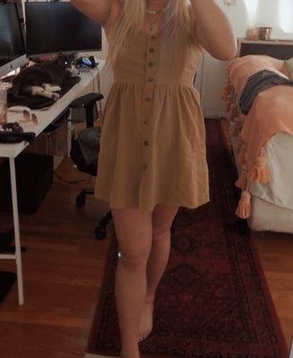 $6 Dress