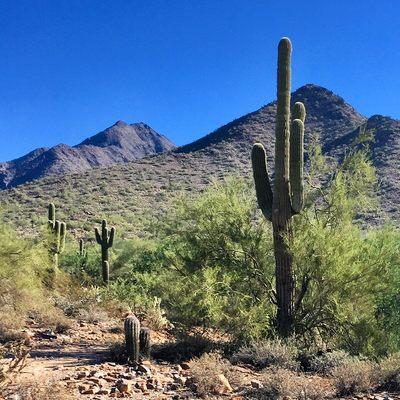 Lost Dog Hiking Trail