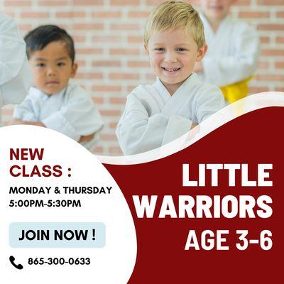 Little Warriors class is for kids age 3-6 and is a fusion for structured play, martial art, and yoga.