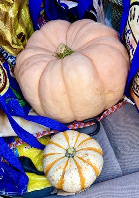 2022 Windmill Farms pumpkin haul.