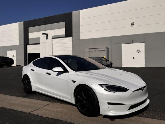 Tesla Model S SUNTEK Reaction and SUNTEK Evolve window tint