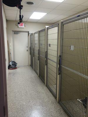 Boarding Kennels