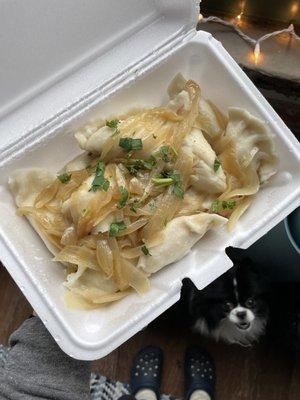 12 vegan pierogies + my hungry dog