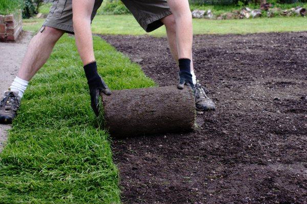 Sod Installation