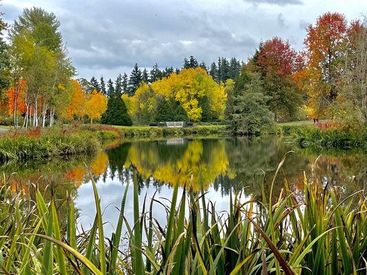 One of the ponds