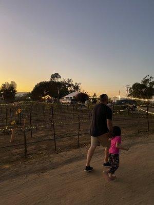 Parking around the corner of the vineyard