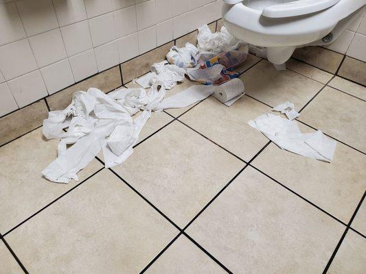 Female restroom stall. Complete with dirty diapers.