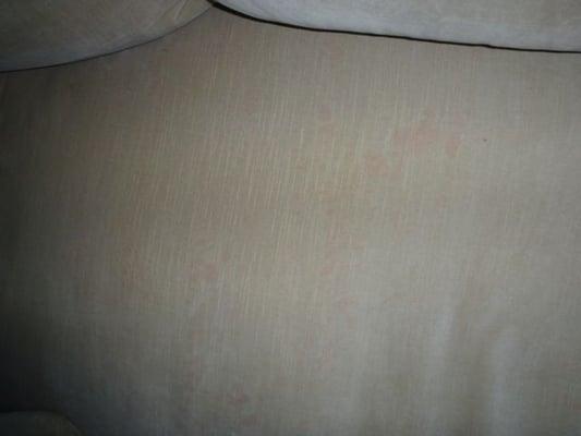 pink blotches and a ruined couch that can't be remedied.  New covers $2000.  Go Fresh should go away