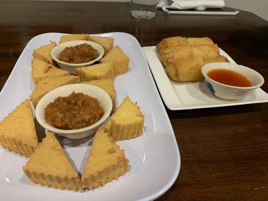 vegetarian paradise appetizer (deep fried tofu - it's amazing) and vegetarian deep fried spring rolls appetizer