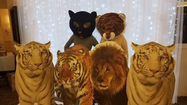 Black Leopard, Tiger Heads or Lion masks were just a few of the props