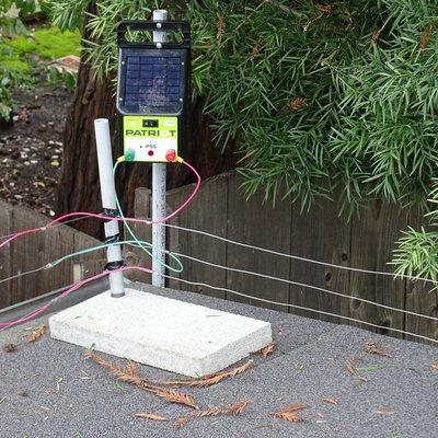 Example of a solar energized barrier to keep raccoons away.