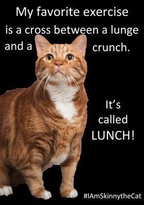 My favorite exercise is a cross between a lunge and a crunch.....It's called LUNCH! -Skinny the cat