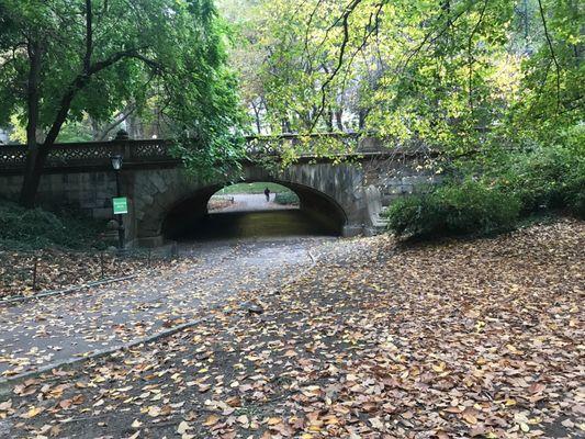 Greyshot Arch