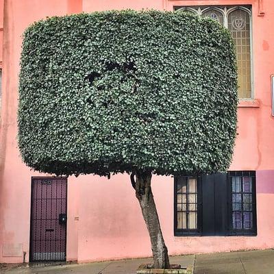 Exterior Sculpted Tree