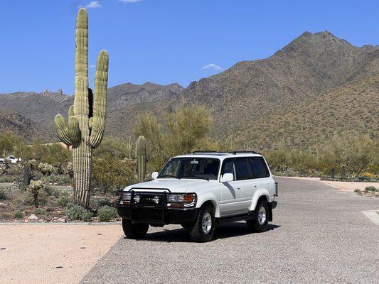 Sonoran Desert Preserve, North Scottsdale!