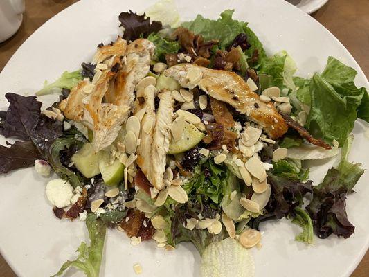 Apple chicken salad with grilled chicken