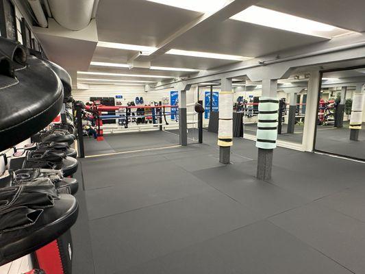 Additional downstairs mat space and boxing ring