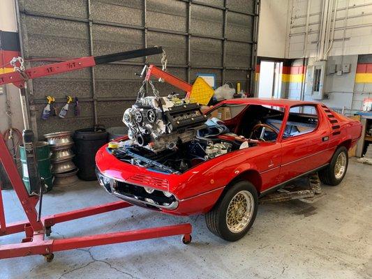 1971 Alfa Romeo Montreal project