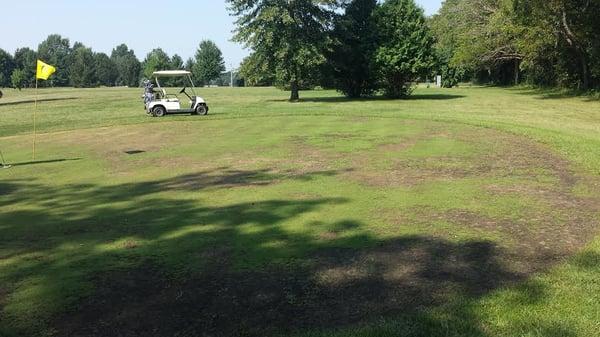 First "Green" mostly dirt.  Severely neglected, worst golfing conditions I have ever seen.  This was reflective of the rest of the course.