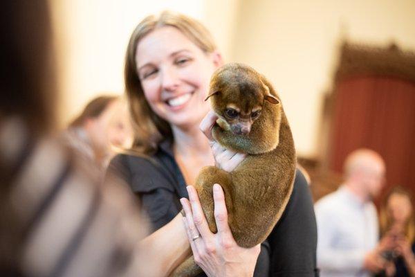 Akron Zoo helps celebrate the launch of Akron Cultural Plan (Photograph by Aimee Juarez)