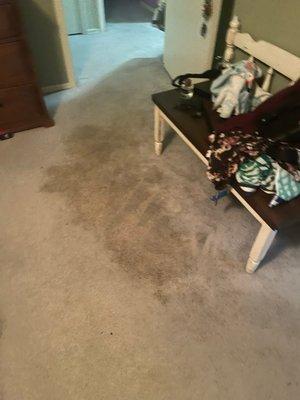 Water leaked onto carpet in master bedroom