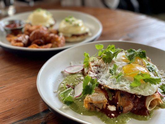 Fried egg enchiladas