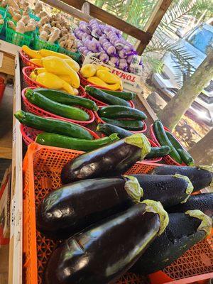 EGGPLANT,  yellow squash, zucchini,  garlic, ginger