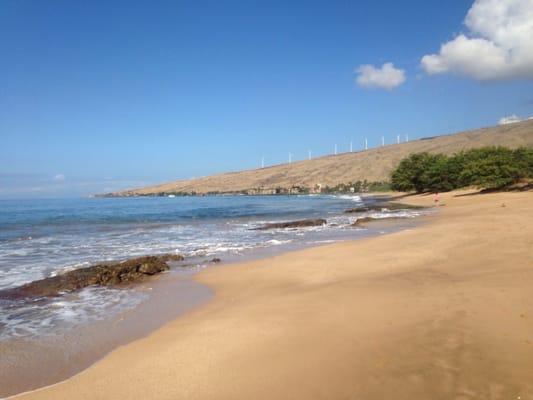 The beach where we walk every morning!