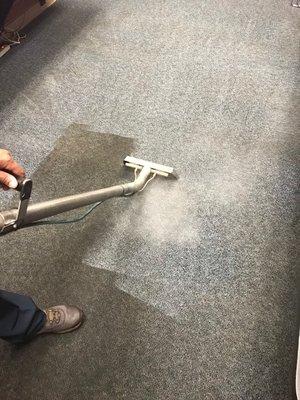 Commercial Carpet cleaning