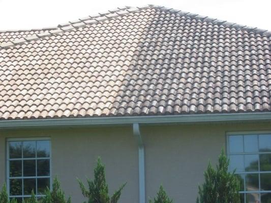 Roof in Windward [Cape Haze] 1/2 cleaned without using a damaging pressure washing machine on it.